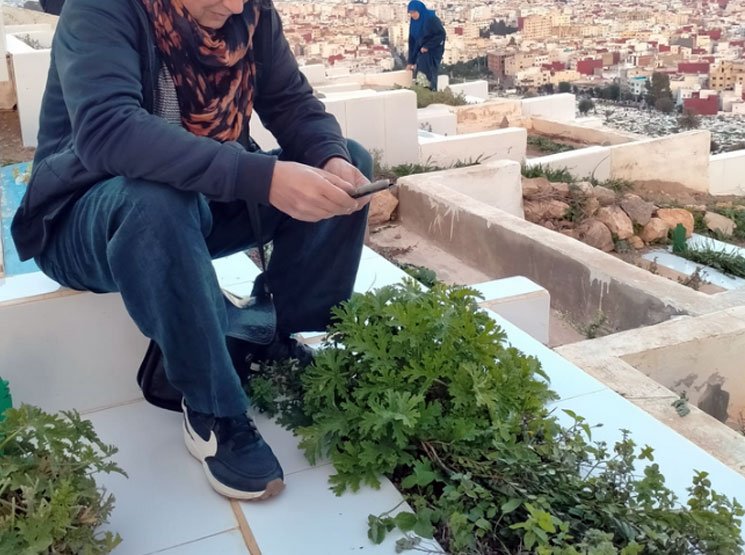 Organisation von Sammeltransporten zum Friedhof an wichtigen Tagen in Deutschland